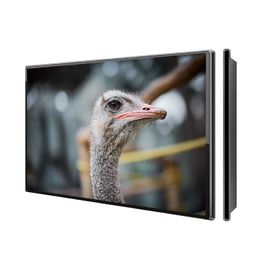 43 Inch Wall Mounted Digital Display Capacitive Touch Screen For Phone Shop